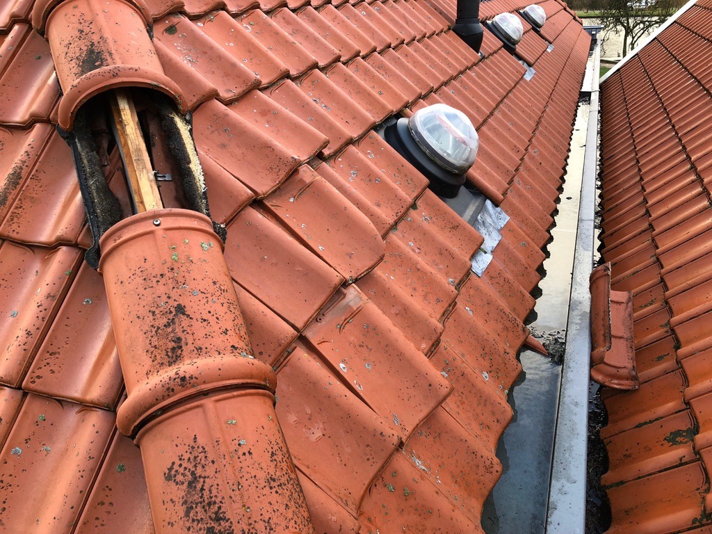 Schade Schuin Dak
